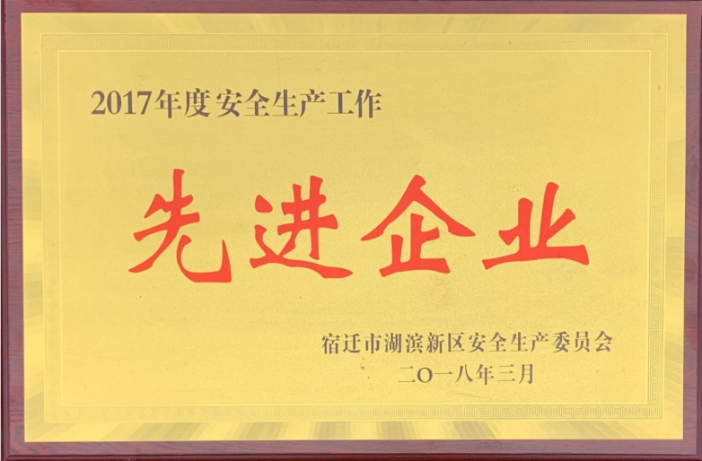 2017先进企业